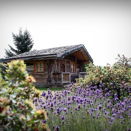 Hotel Le Manoir Des Montagnes Les Rousses Luaran gambar