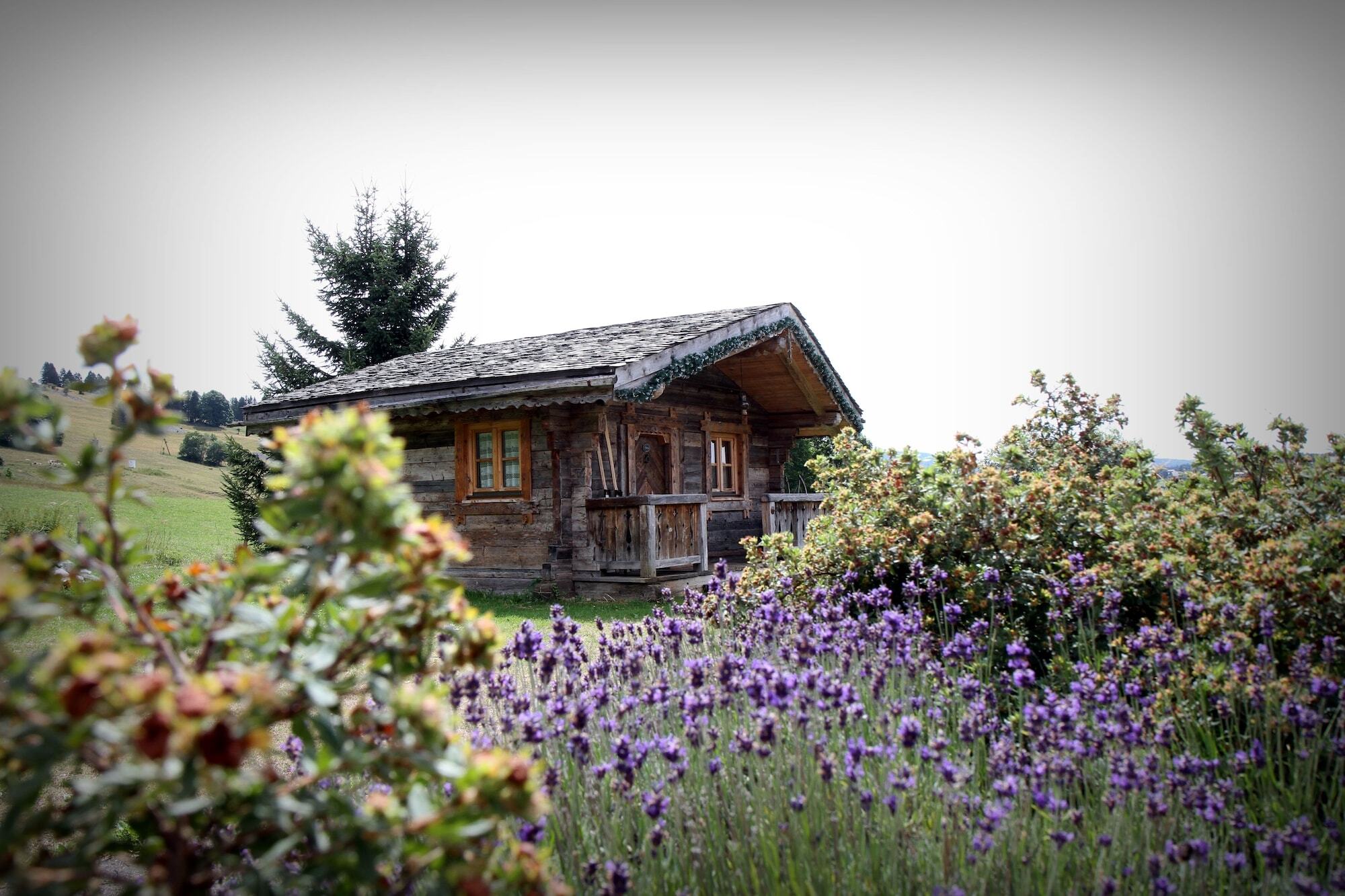 Hotel Le Manoir Des Montagnes Les Rousses Luaran gambar